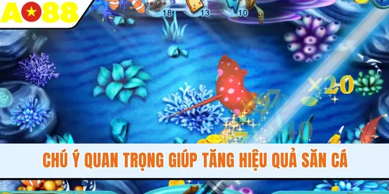 Chú ý quan trọng giúp tăng hiệu quả săn cá