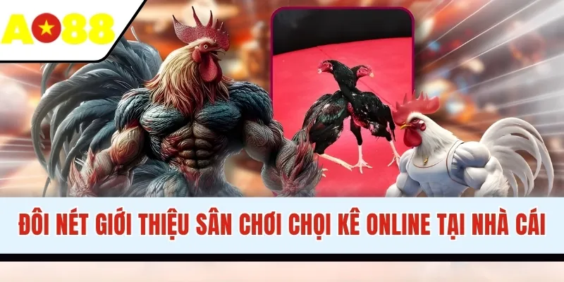 Đôi nét giới thiệu sân chơi chọi kê online tại nhà cái